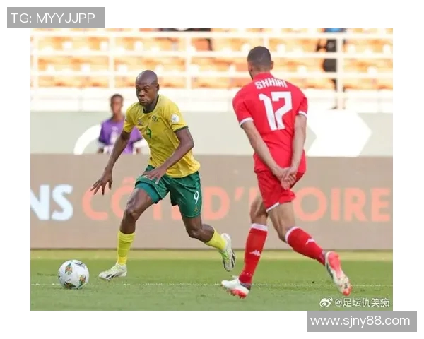 科特迪瓦足球明星盘点及其在国际赛场上的辉煌成就