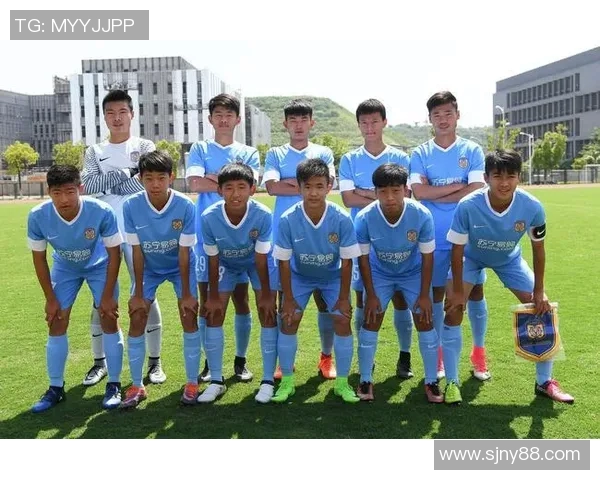 南京足球队实力分析与发展前景的深度探讨与展望