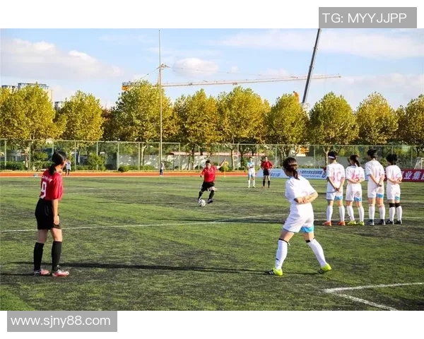 武汉极限运动队进攻表现分析与战术调整建议探讨